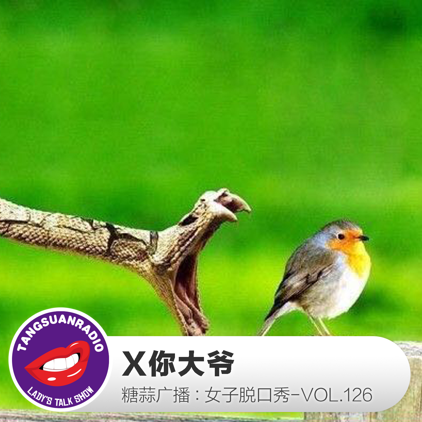 糖蒜女子脱口秀VOL.126:X你大爷