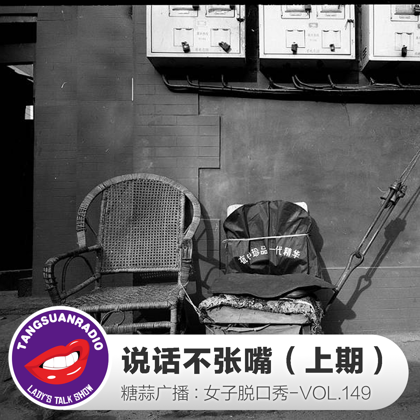 糖蒜女子脱口秀VOL149:说话不张嘴(上期)