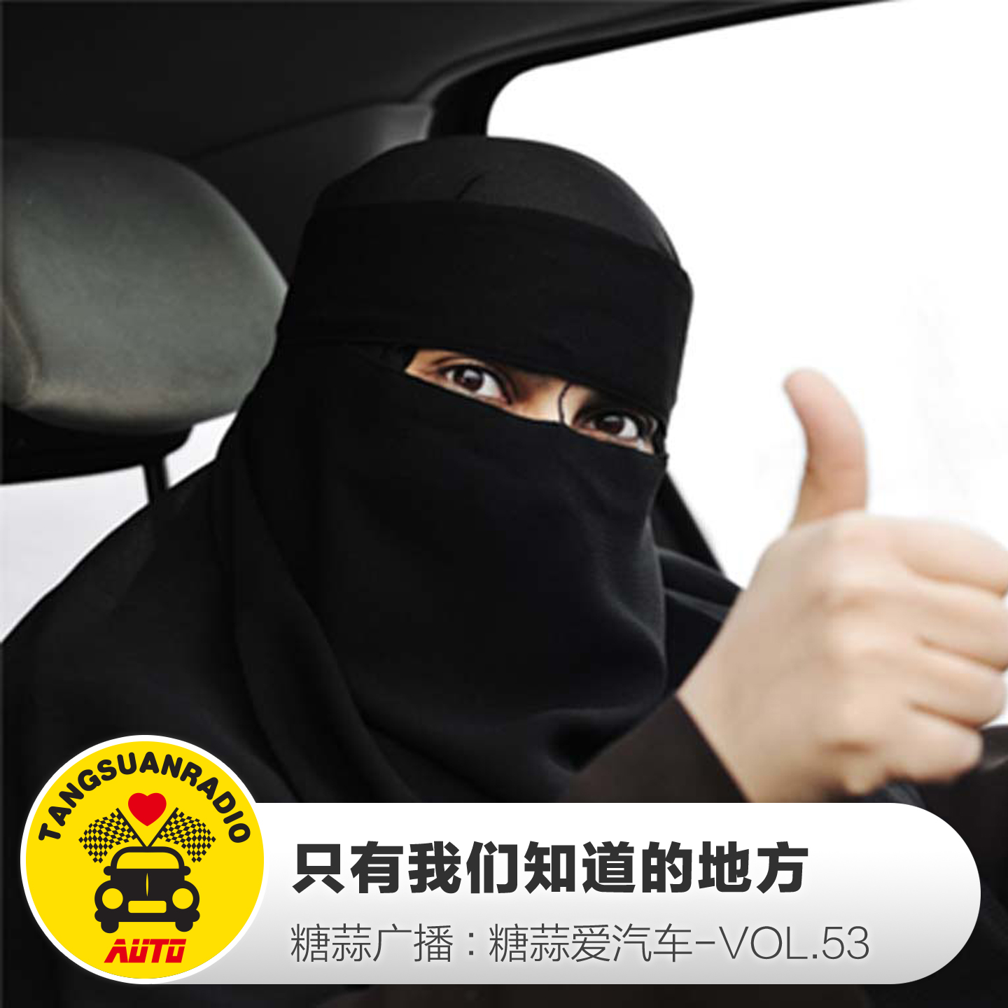 糖蒜爱汽车:只有我们知道的地方