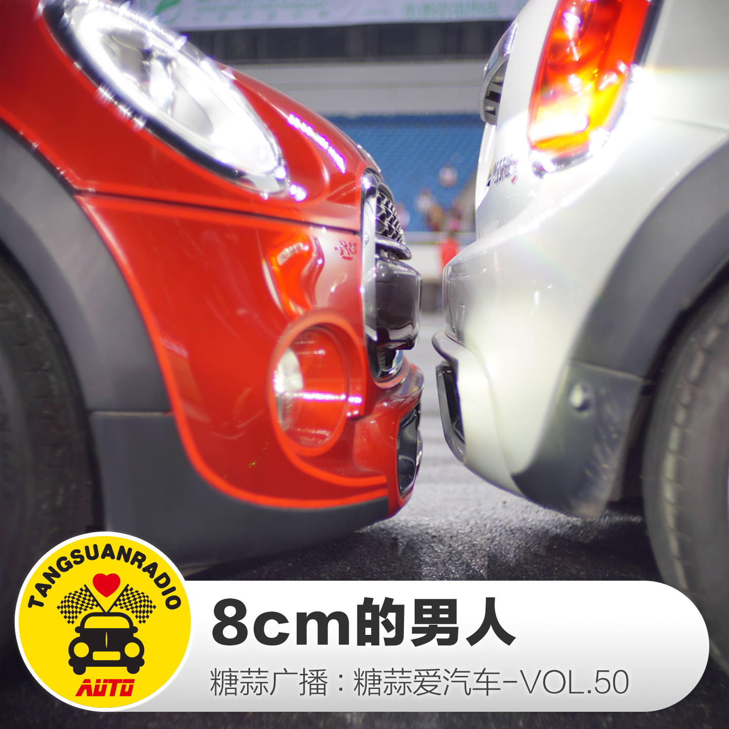 糖蒜爱汽车:8cm的男人