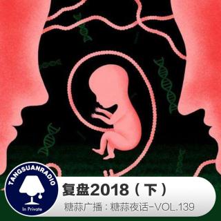 糖蒜夜话VOL139:复盘2018(下)
