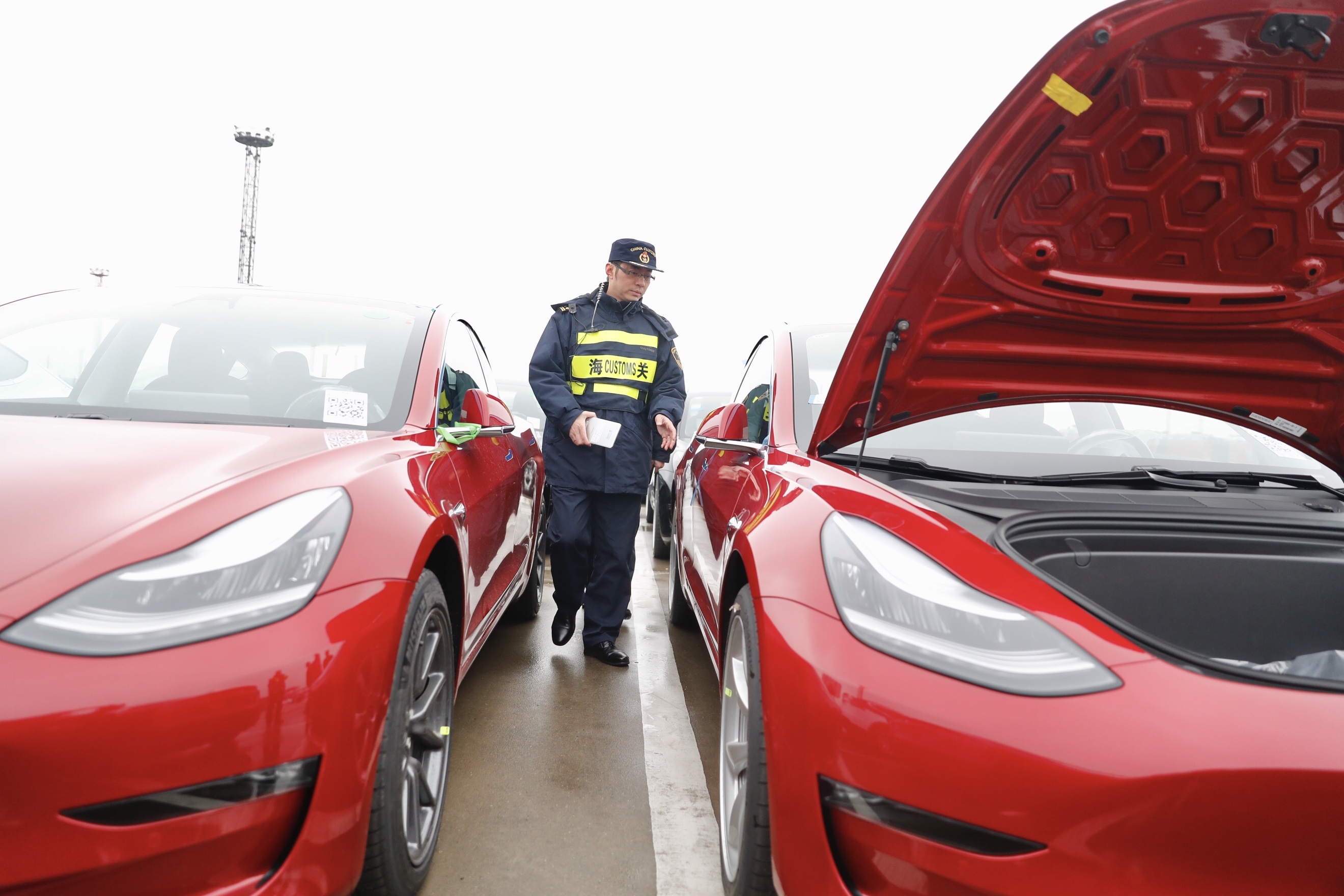 Model 3 被海关扣留始末 FMiT.esla.VOL3